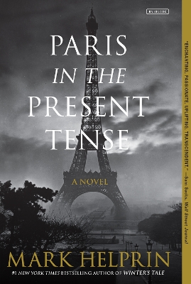 Book cover for Paris in the Present Tense: A Novel