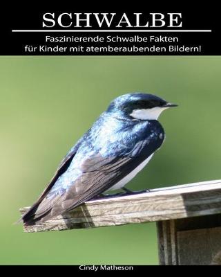 Book cover for Schwalbe