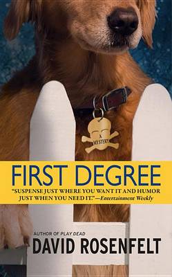 Book cover for First Degree