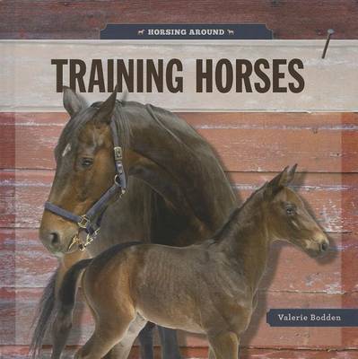 Book cover for Training Horses