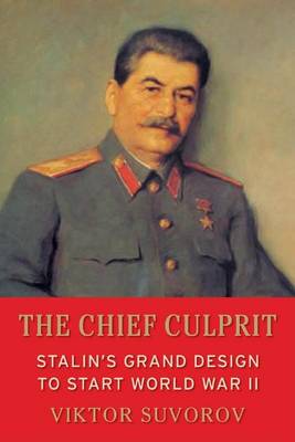 Book cover for The Chief Culprit