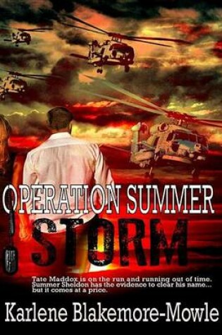 Cover of Operation Summer Storm