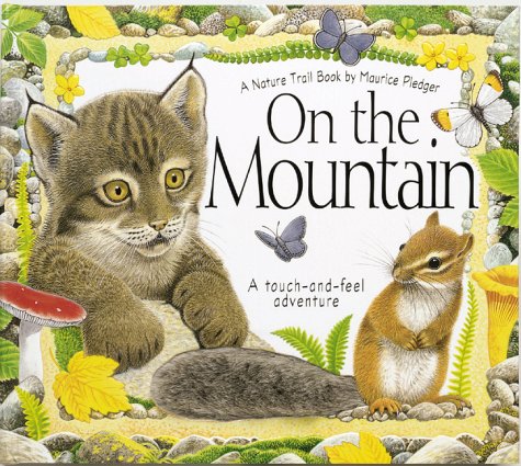 Book cover for On the Mountain