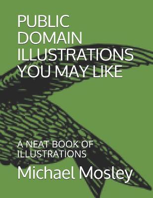 Book cover for Public Domain Illustrations You May Like