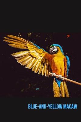 Book cover for Blue-and-Yellow Macaw