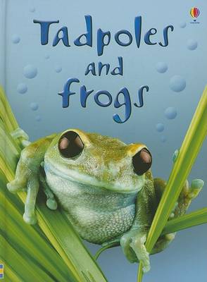 Cover of Tadpoles and Frogs