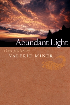 Book cover for Abundant Light