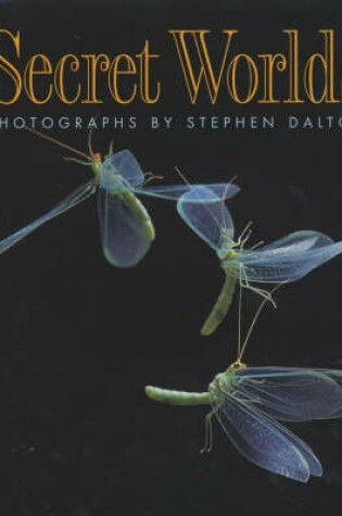 Cover of Secret Worlds