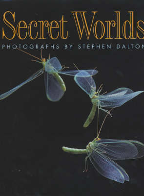 Book cover for Secret Worlds