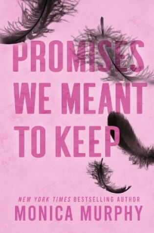 Cover of Promises We Meant to Keep