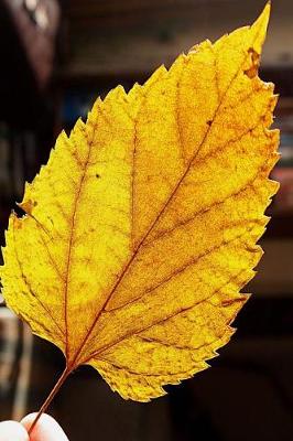 Book cover for A Pretty Yellow Autumn Leaf Journal