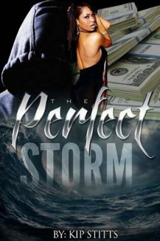 Cover of The Perfect Storm