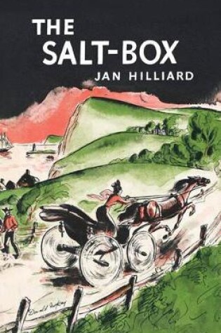 Cover of The Salt-Box