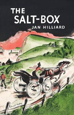 Book cover for The Salt-Box