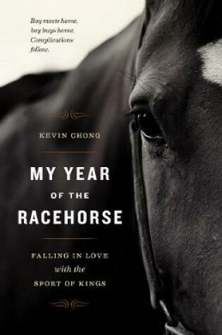 Cover of My Year of the Racehorse