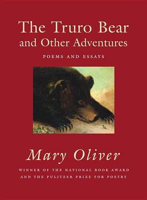 Book cover for Truro Bear and Other Adventures