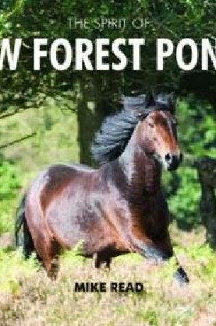 Cover of The Spirit of the New Forest Ponies