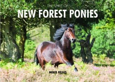 Cover of The Spirit of the New Forest Ponies