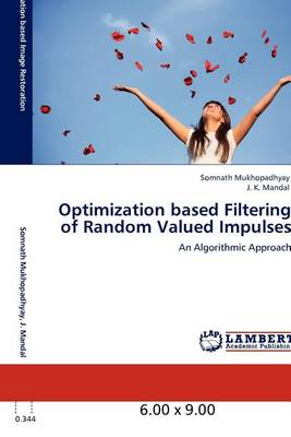 Book cover for Optimization Based Filtering of Random Valued Impulses