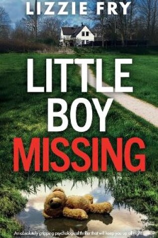 Cover of Little Boy Missing