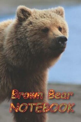 Cover of Brown Bear NOTEBOOK