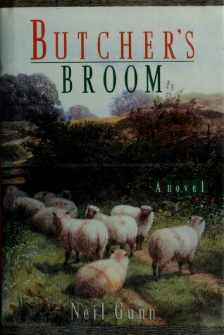 Book cover for Butcher's Broom