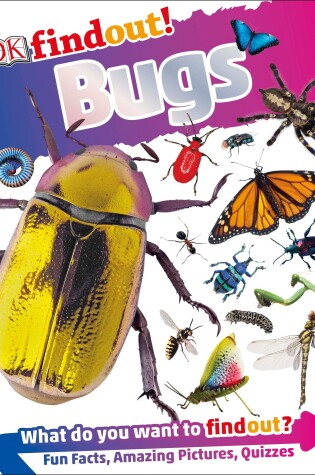 Cover of DKfindout! Bugs