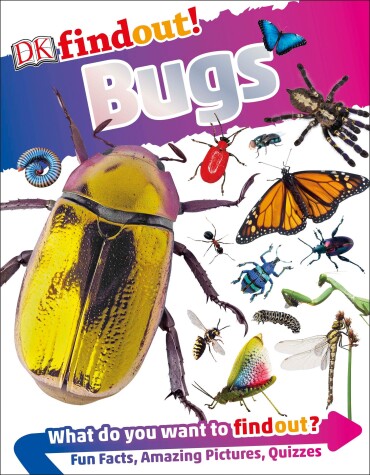 Cover of DKfindout! Bugs