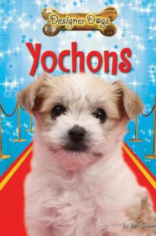 Cover of Yochons