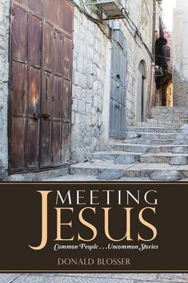 Book cover for Meeting Jesus