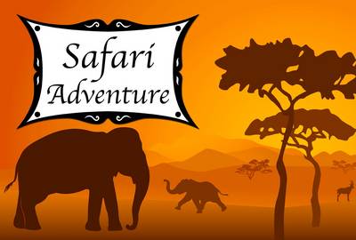 Book cover for Safari Adventure