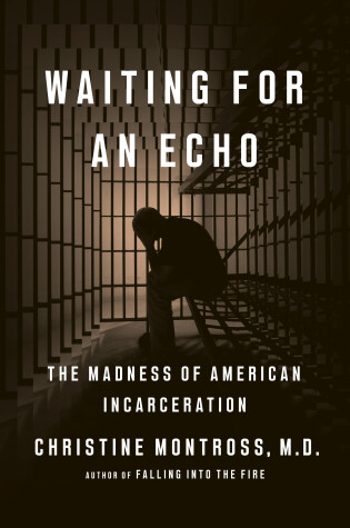 Cover of Waiting for an Echo