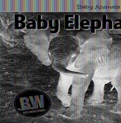 Book cover for Baby Elephants