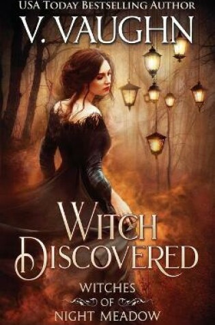 Cover of Witch Discovered