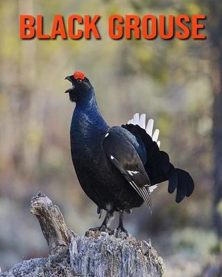 Book cover for Black Grouse