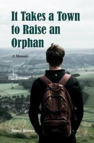 Cover of It Takes a Town to Raise an Orphan