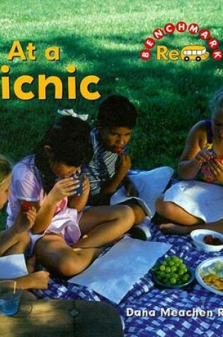 Cover of At a Picnic
