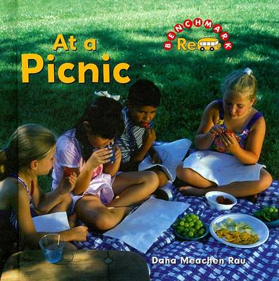 Cover of At a Picnic