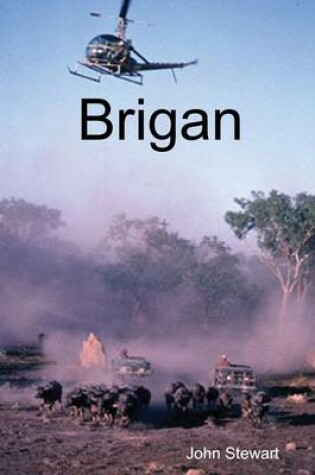 Cover of Brigan