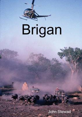 Book cover for Brigan