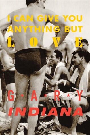 Book cover for I Can Give You Anything But Love