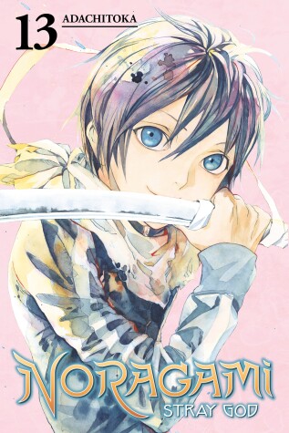 Cover of Noragami Volume 13