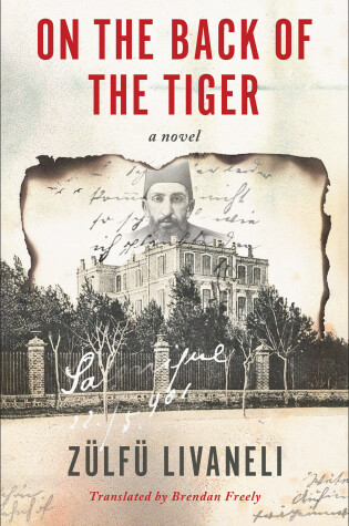 Cover of On the Back of the Tiger
