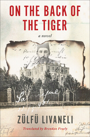 Book cover for On the Back of the Tiger