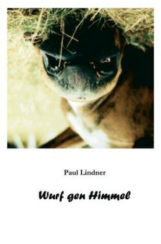 Cover of Wurf gen Himmel