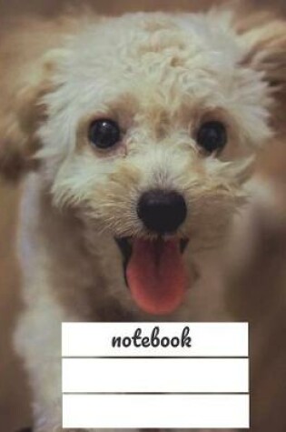 Cover of Notebook