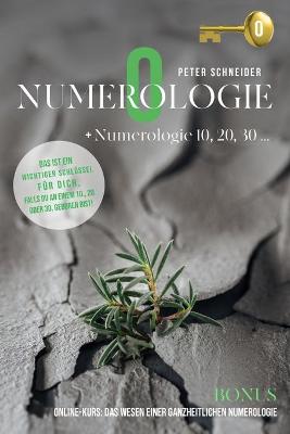 Book cover for Numerologie 0