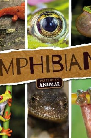 Cover of Amphibians