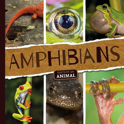 Cover of Amphibians