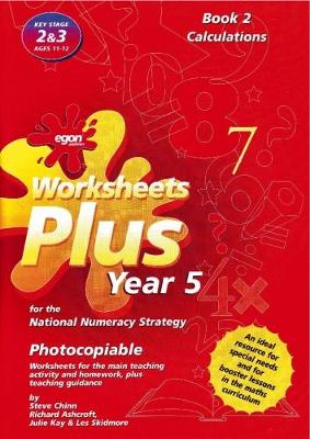 Book cover for Worksheets Plus for the National Numeracy Strategy Year 5